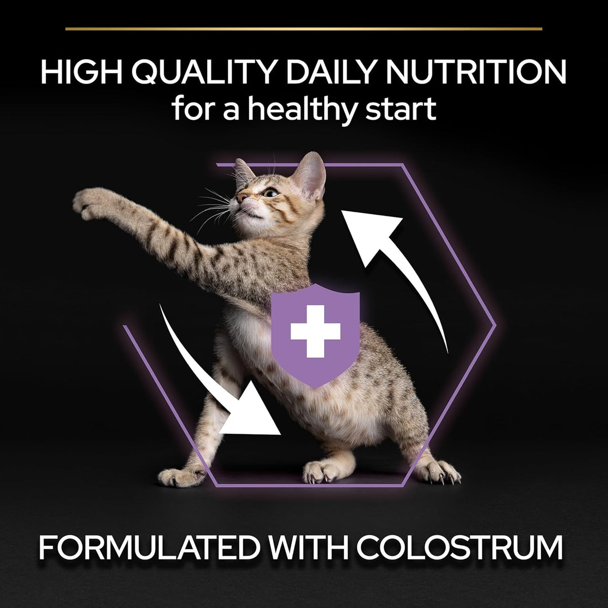 PRO PLAN® Adult 1+ RENAL PLUS Dry Cat Food - Sayby’s