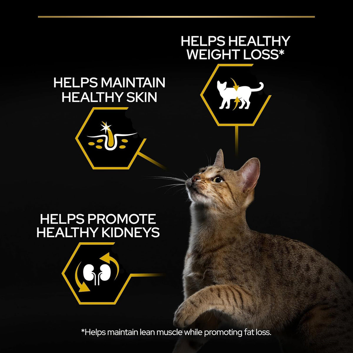PRO PLAN® Adult 1+ RENAL PLUS Dry Cat Food - Sayby’s