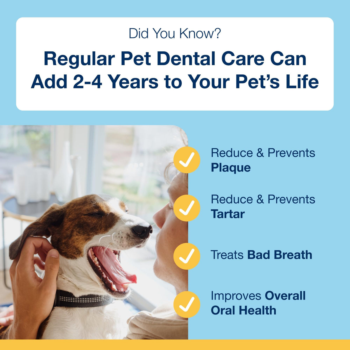 ProDen PlaqueOff Powder for Dogs & Cats, Tartar & Bad Breath Remover with 100% Natural Teeth Plaque Remover 180 g - Sayby’s