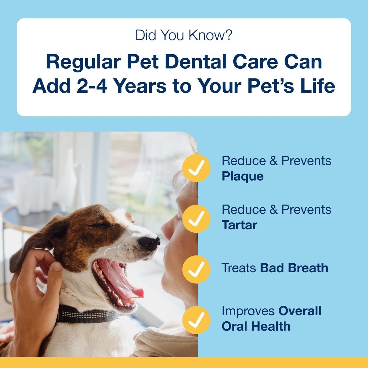 ProDen PlaqueOff Powder for Dogs & Cats, Tartar & Bad Breath Remover with 100% Natural Teeth Plaque Remover 180 g - Sayby’s