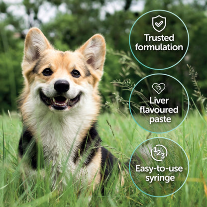 Protexin Veterinary Pro-Kolin Advanced for Dogs Advanced for Dogs, 60 ml - Sayby’s