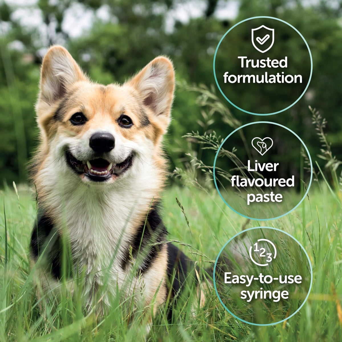 Protexin Veterinary Pro-Kolin Advanced for Dogs Advanced for Dogs, 60 ml - Sayby’s