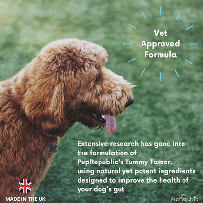 PupRepublic Fast Acting dog diarrhea treatment - Digestive Disorders - More Effective than Kaolin - Sickness & Allergy Relief for Dogs of All Breeds & Sizes - Sayby’s