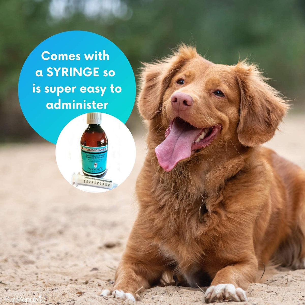 PupRepublic Fast Acting dog diarrhea treatment - Digestive Disorders - More Effective than Kaolin - Sickness & Allergy Relief for Dogs of All Breeds & Sizes - Sayby’s