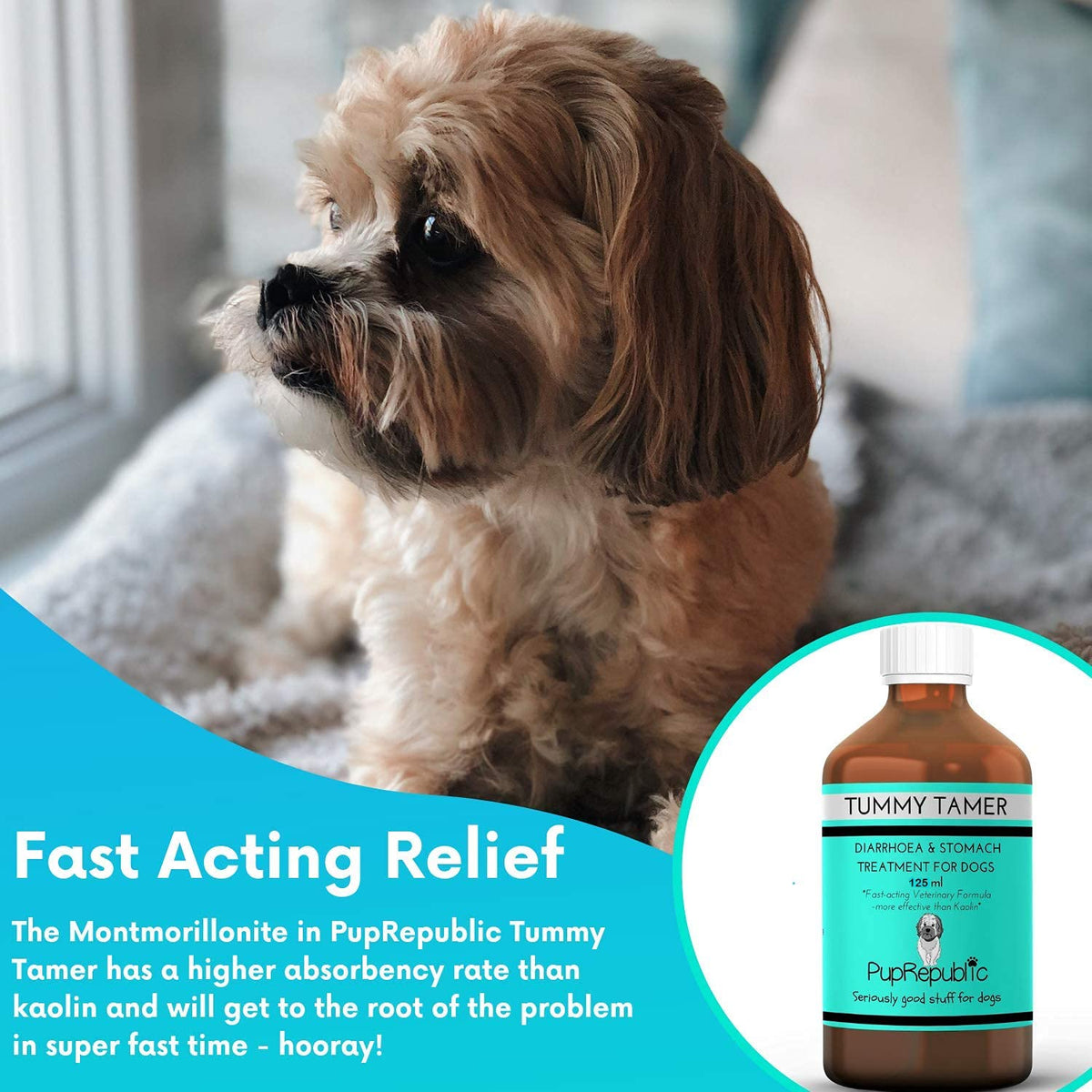 PupRepublic Fast Acting dog diarrhea treatment - Digestive Disorders - More Effective than Kaolin - Sickness & Allergy Relief for Dogs of All Breeds & Sizes - Sayby’s