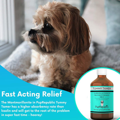 PupRepublic Fast Acting dog diarrhea treatment - Digestive Disorders - More Effective than Kaolin - Sickness & Allergy Relief for Dogs of All Breeds & Sizes - Sayby’s
