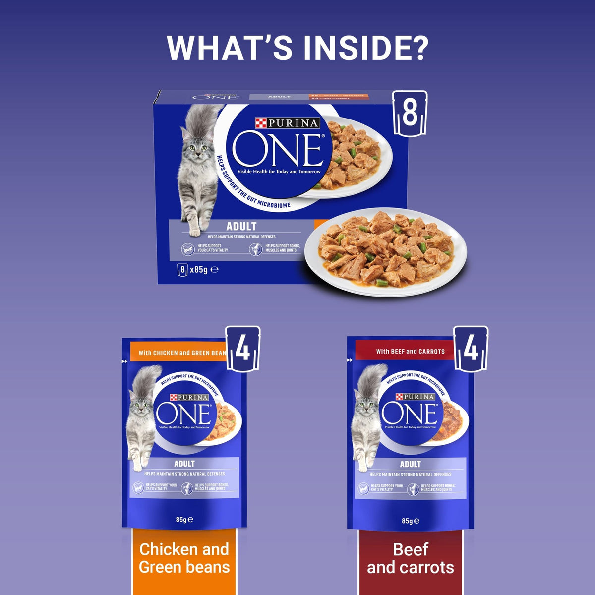 PURINA ONE Adult Cat Food Mini Fillets in Gravy 40 x 85g - Sayby’s