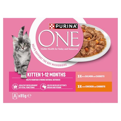 PURINA ONE Adult Cat Food Mini Fillets in Gravy 40 x 85g - Sayby’s