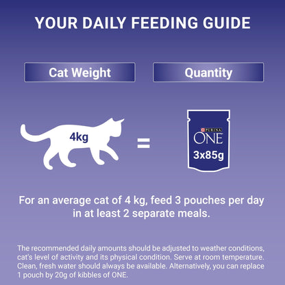 PURINA ONE Adult Cat Food Mini Fillets in Gravy 40 x 85g - Sayby’s