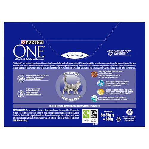 PURINA ONE Adult Cat Food Mini Fillets in Gravy 40 x 85g - Sayby’s