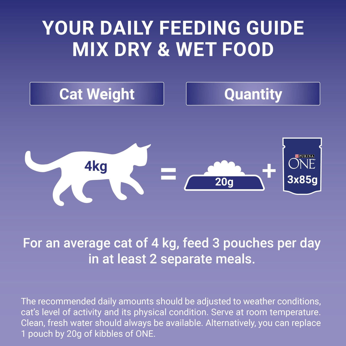 PURINA ONE Adult Cat Food Mini Fillets in Gravy 40 x 85g - Sayby’s