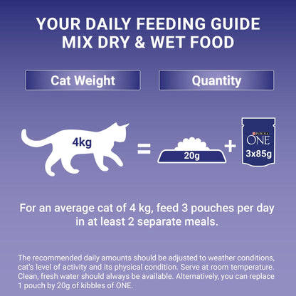 PURINA ONE Adult Cat Food Mini Fillets in Gravy 40 x 85g - Sayby’s