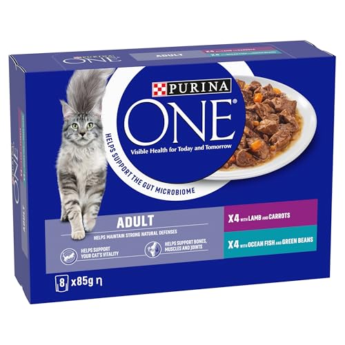 PURINA ONE Adult Cat Food Mini Fillets in Gravy 40 x 85g - Sayby’s