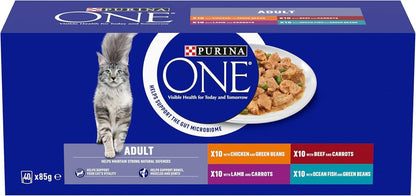 PURINA ONE Adult Cat Food Mini Fillets in Gravy 40 x 85g - Sayby’s