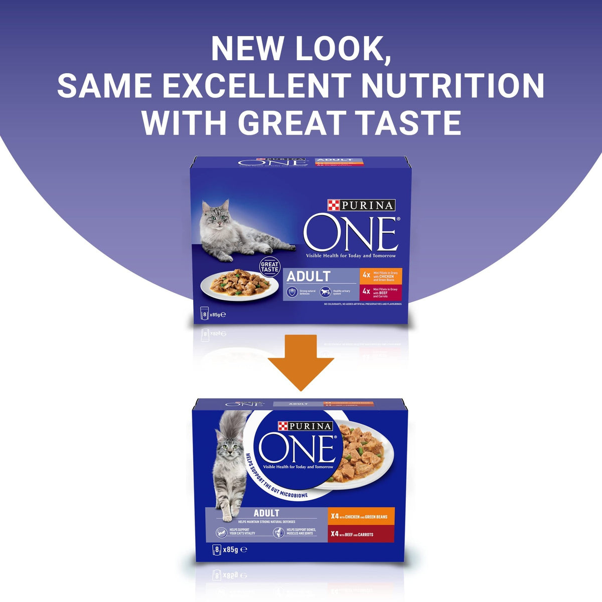 PURINA ONE Adult Cat Food Mini Fillets in Gravy 40 x 85g - Sayby’s