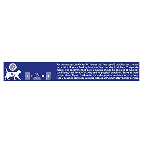 PURINA ONE Adult Cat Food Mini Fillets in Gravy 40 x 85g - Sayby’s