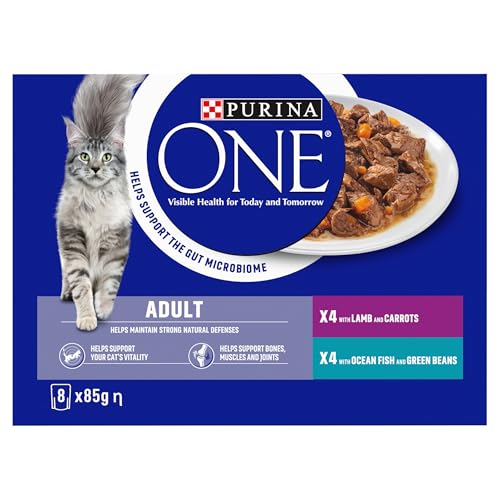 PURINA ONE Adult Cat Food Mini Fillets in Gravy 40 x 85g - Sayby’s