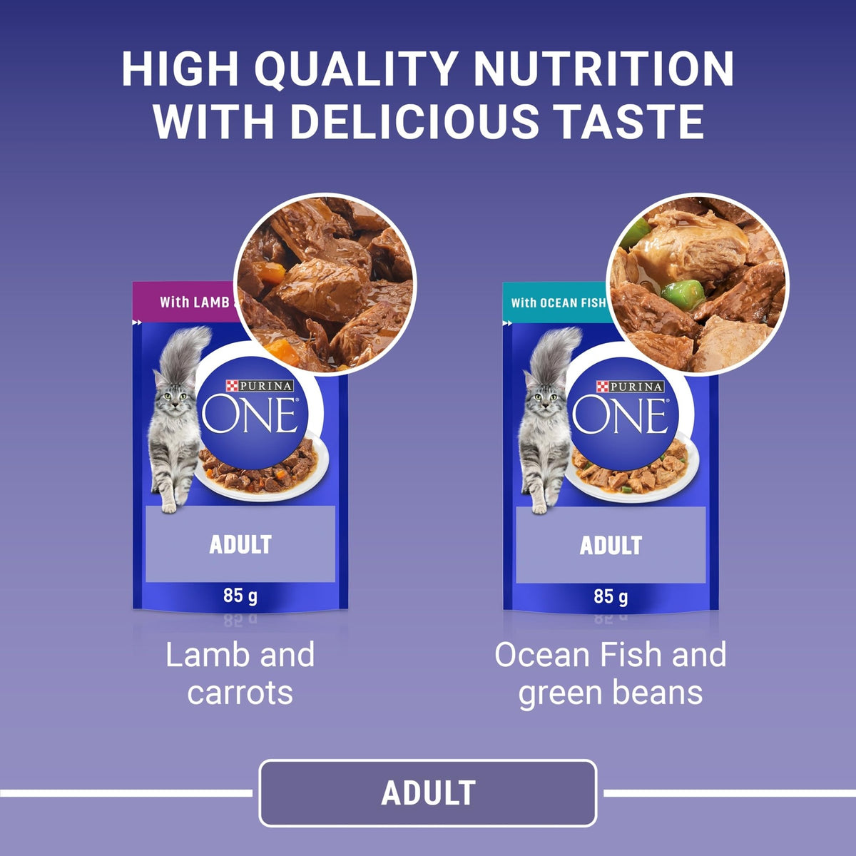 PURINA ONE Adult Cat Food Mini Fillets in Gravy 40 x 85g - Sayby’s