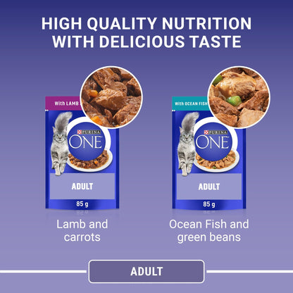 PURINA ONE Adult Cat Food Mini Fillets in Gravy 40 x 85g - Sayby’s