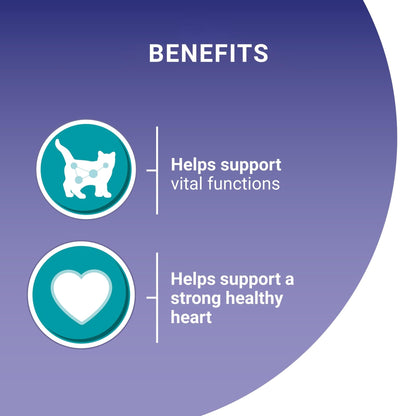 PURINA ONE Adult Cat Food Mini Fillets in Gravy 40 x 85g - Sayby’s
