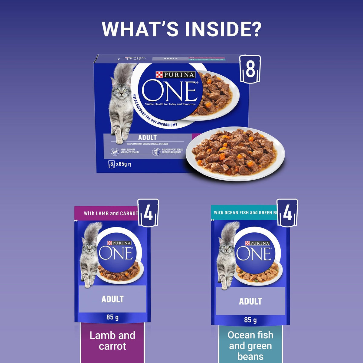 PURINA ONE Adult Cat Food Mini Fillets in Gravy 40 x 85g - Sayby’s