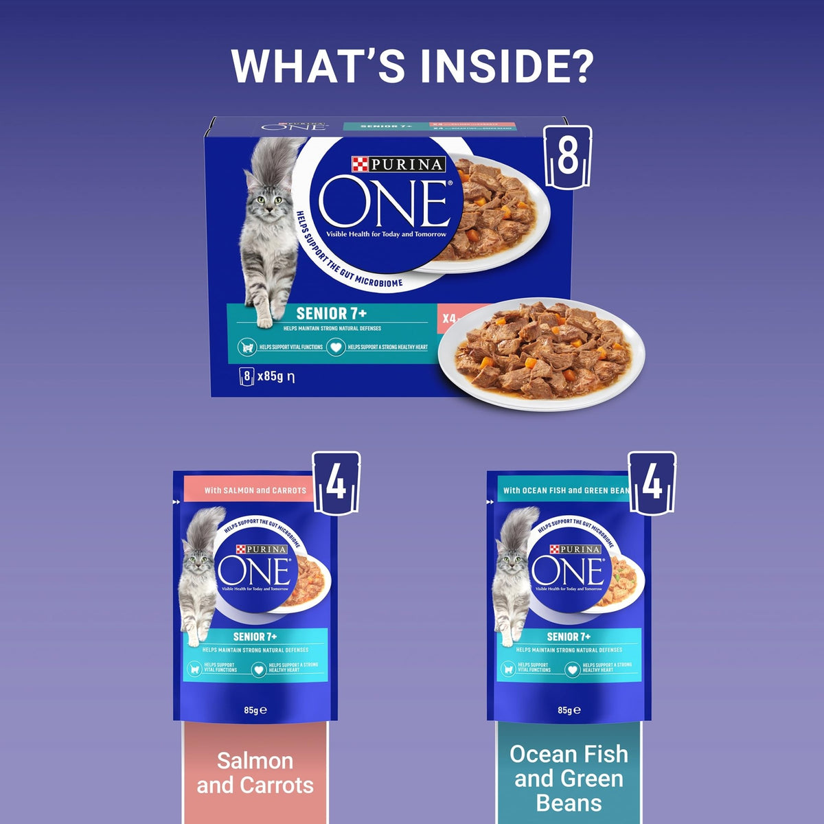 PURINA ONE Adult Cat Food Mini Fillets in Gravy 40 x 85g - Sayby’s