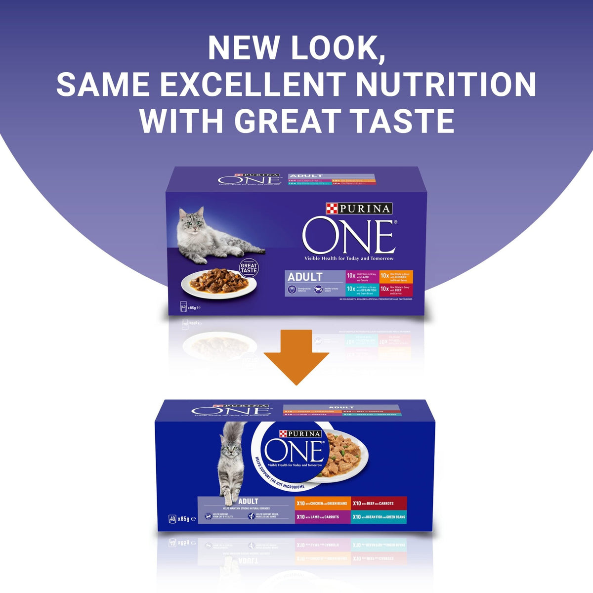 PURINA ONE Adult Cat Food Mini Fillets in Gravy 40 x 85g - Sayby’s