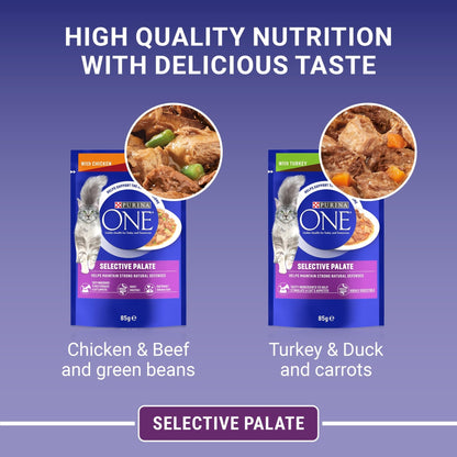 PURINA ONE Adult Cat Food Mini Fillets in Gravy 40 x 85g - Sayby’s