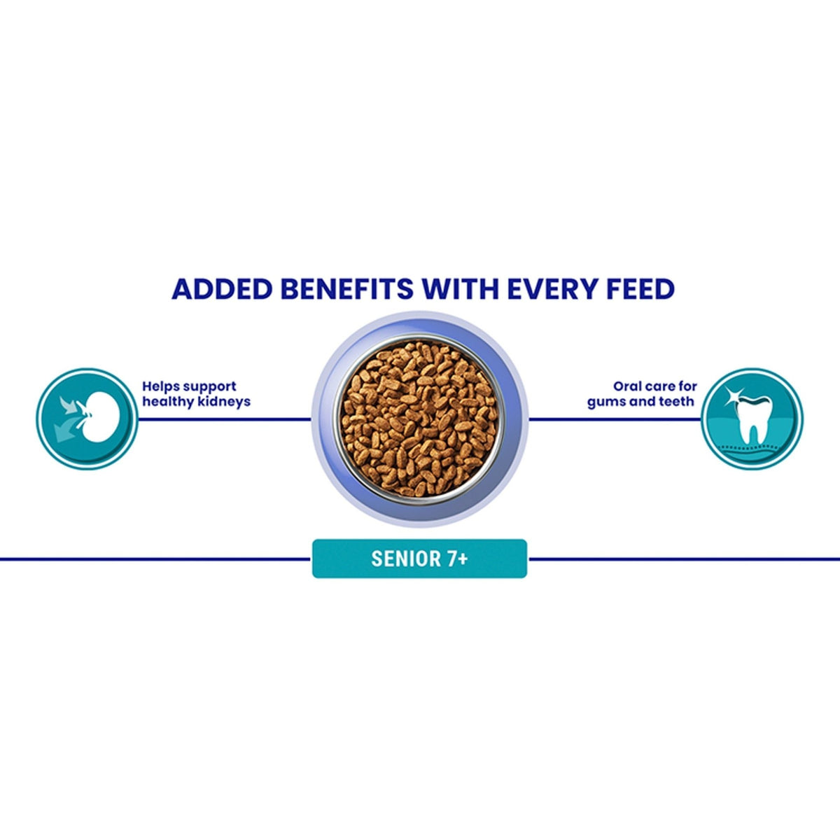 PURINA ONE | Dry Cat Food - Sayby’s