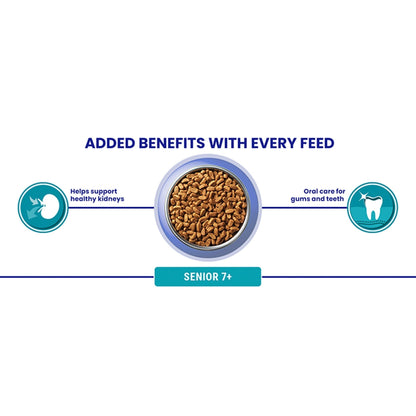 PURINA ONE | Dry Cat Food - Sayby’s