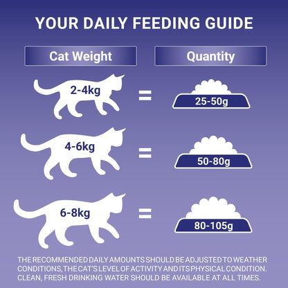 PURINA ONE | Dry Cat Food - Sayby’s