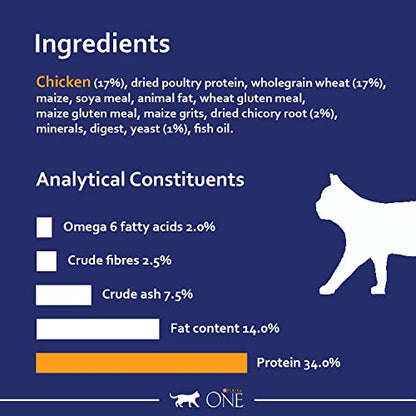 PURINA ONE Dry Cat Food - Sayby’s