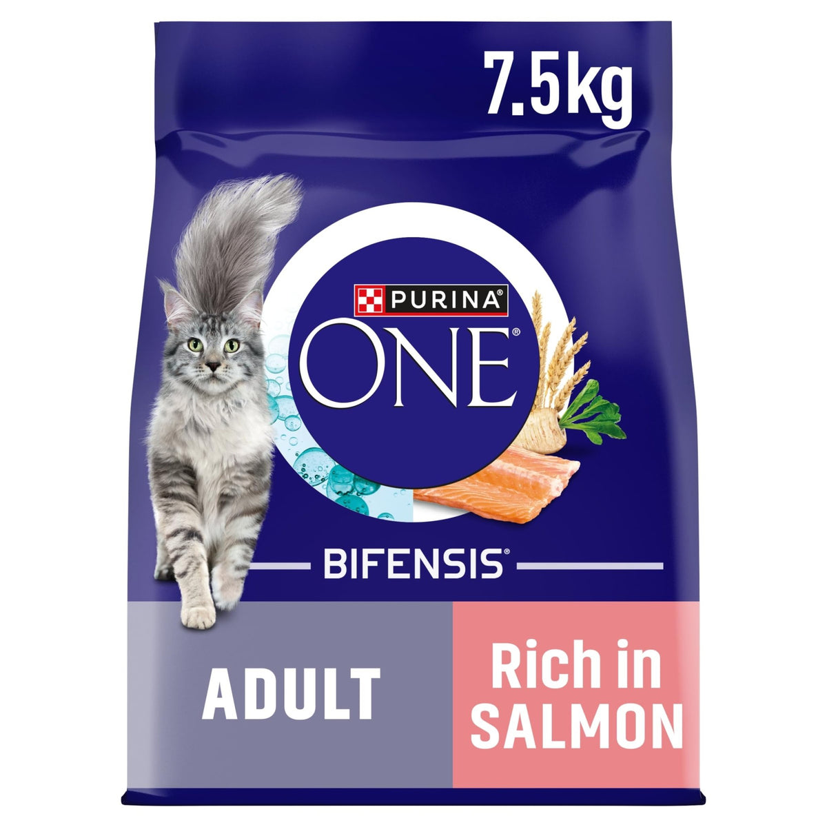 PURINA ONE Dry Cat Food - Sayby’s