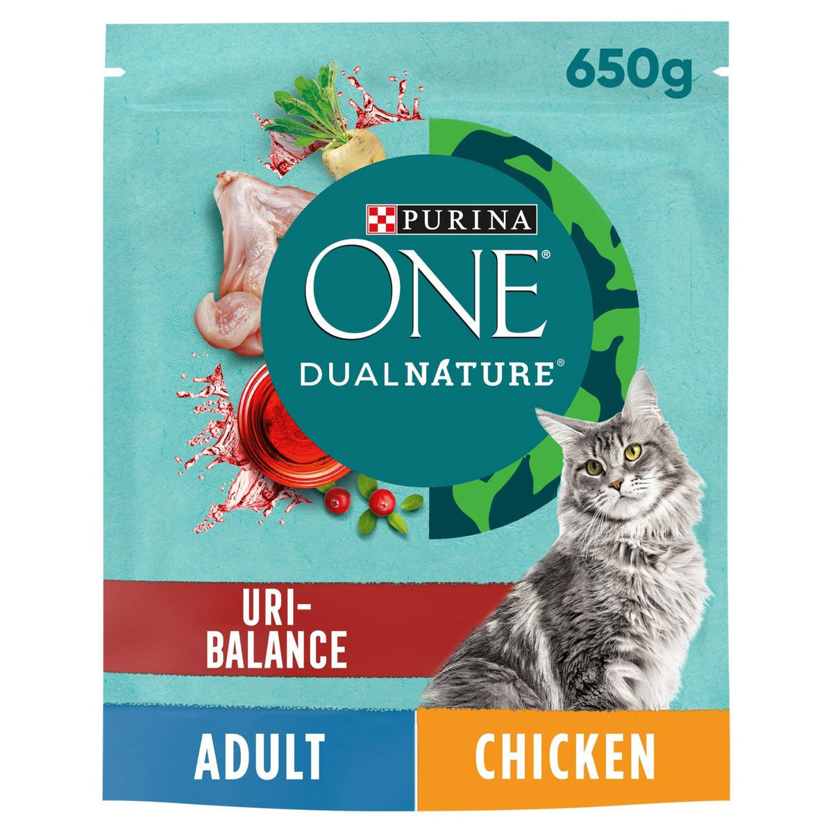 PURINA ONE Dry Cat Food - Sayby’s