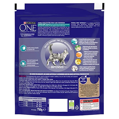 PURINA ONE Dry Cat Food - Sayby’s