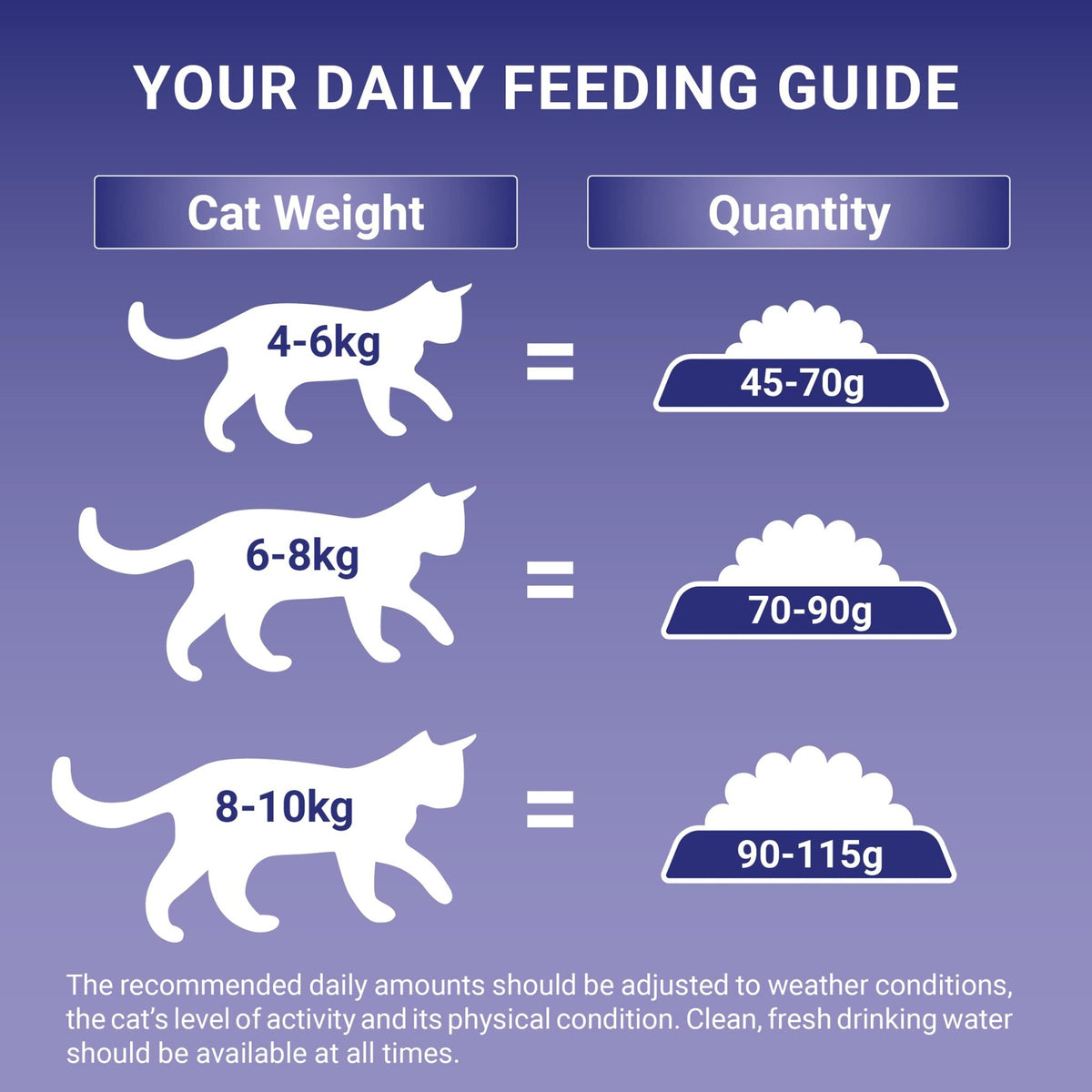 PURINA ONE Dry Cat Food - Sayby’s