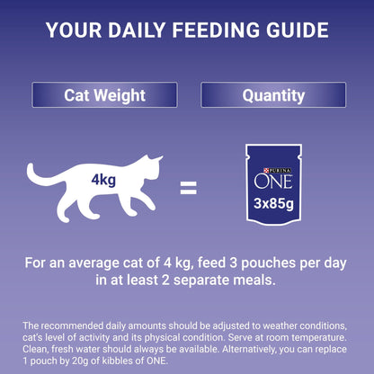 PURINA ONE | Dry Cat Food - Sayby’s