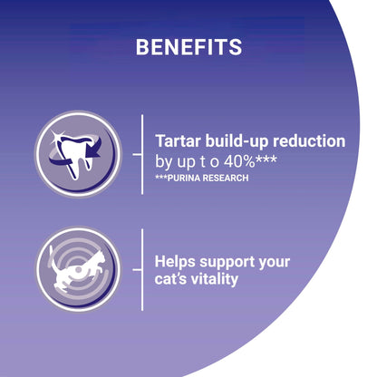 PURINA ONE Dry Cat Food - Sayby’s