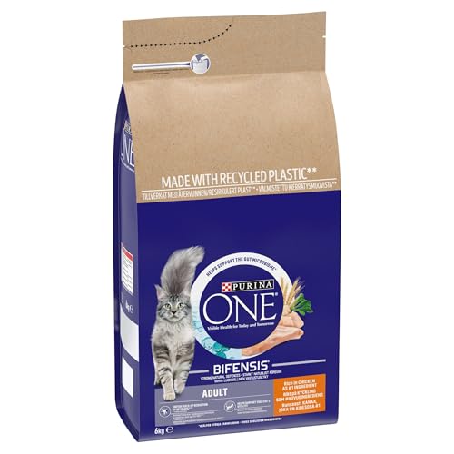 PURINA ONE Dry Cat Food - Sayby’s