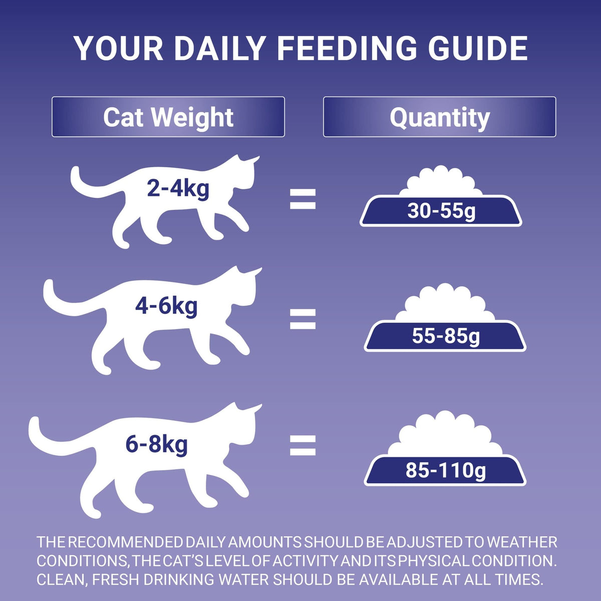 PURINA ONE Dry Cat Food - Sayby’s
