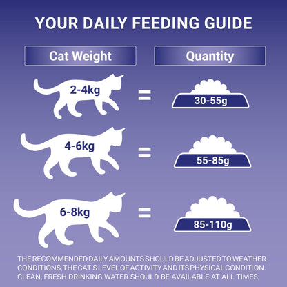 PURINA ONE Dry Cat Food - Sayby’s