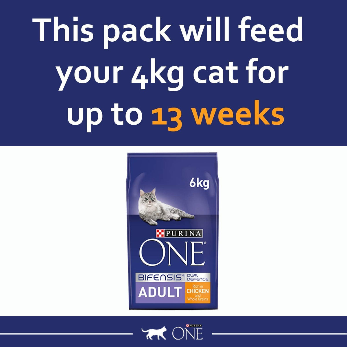 PURINA ONE Dry Cat Food - Sayby’s
