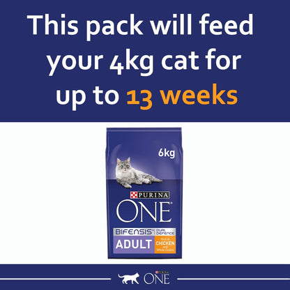 PURINA ONE Dry Cat Food - Sayby’s