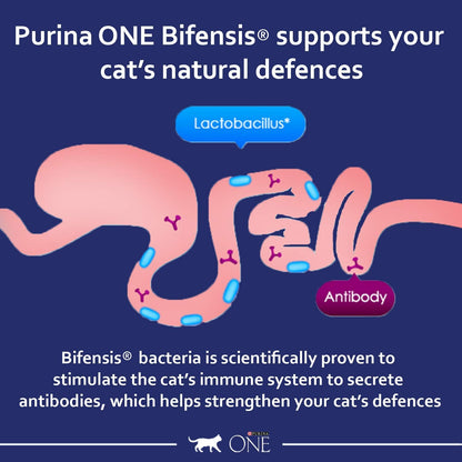 PURINA ONE Dry Cat Food - Sayby’s