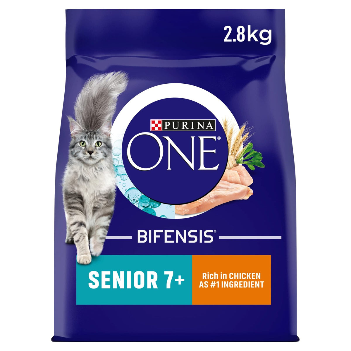 PURINA ONE Dry Cat Food - Sayby’s