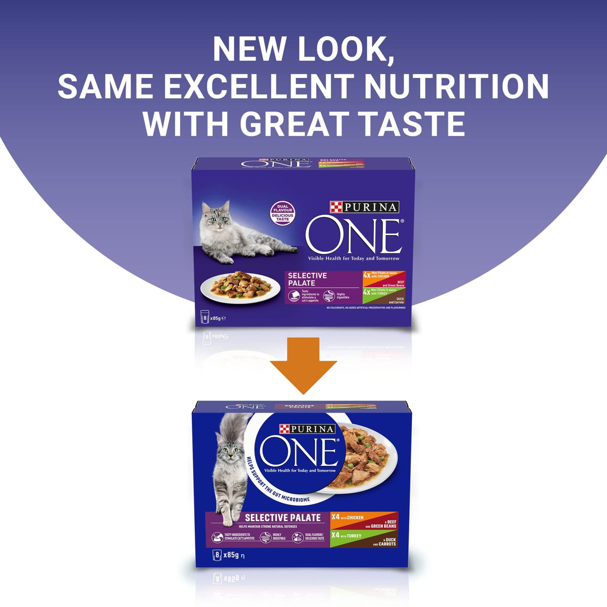PURINA ONE | Dry Cat Food - Sayby’s