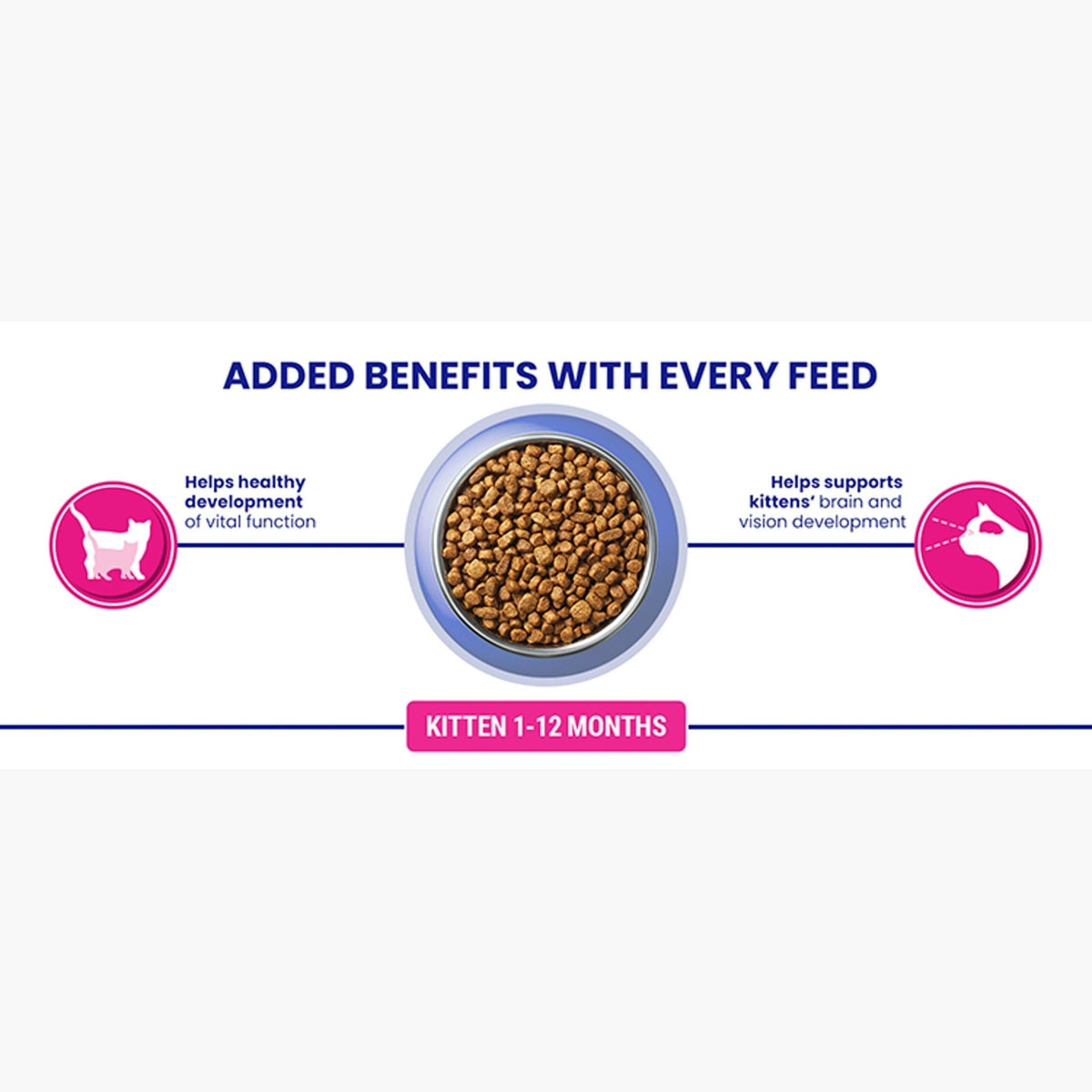 PURINA ONE | Dry Cat Food - Sayby’s