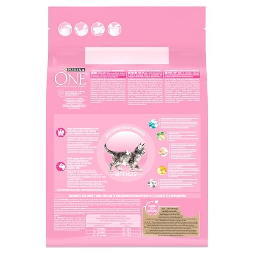 PURINA ONE | Dry Cat Food - Sayby’s