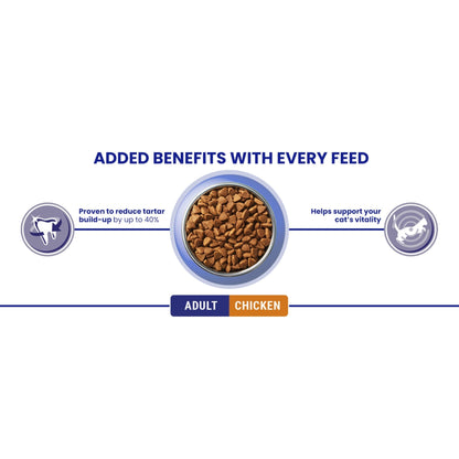 PURINA ONE Dry Cat Food - Sayby’s