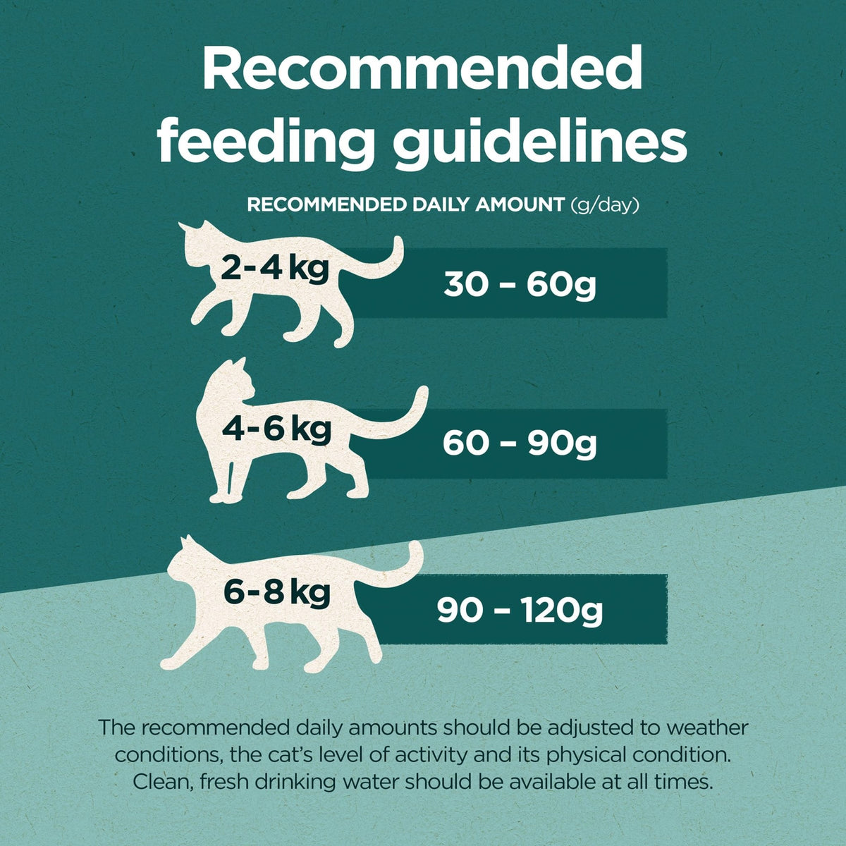 PURINA ONE Dry Cat Food - Sayby’s